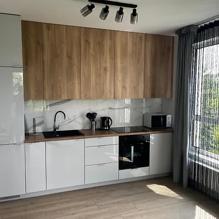 Lägenhet Modern Near Kozminsky